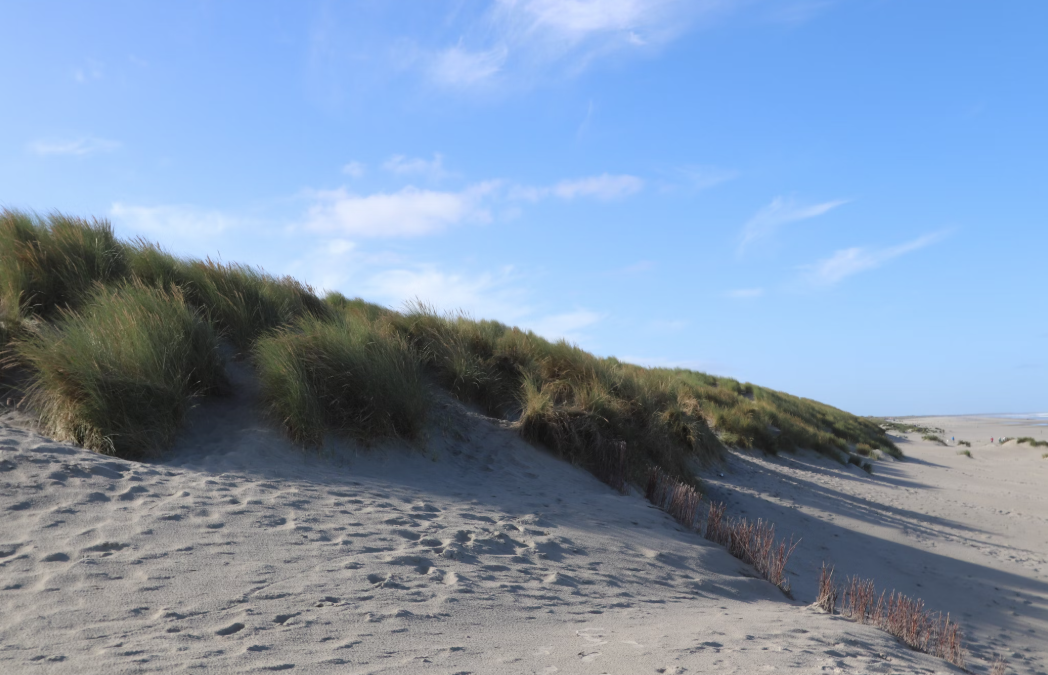 Nazomeren op Ameland: De ideale september vakantiebestemming